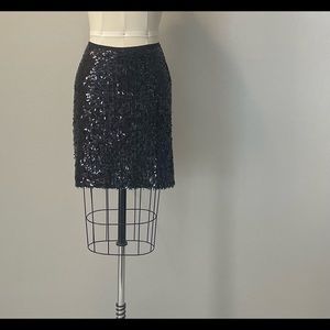 Ann Taylor Sequin Skirt